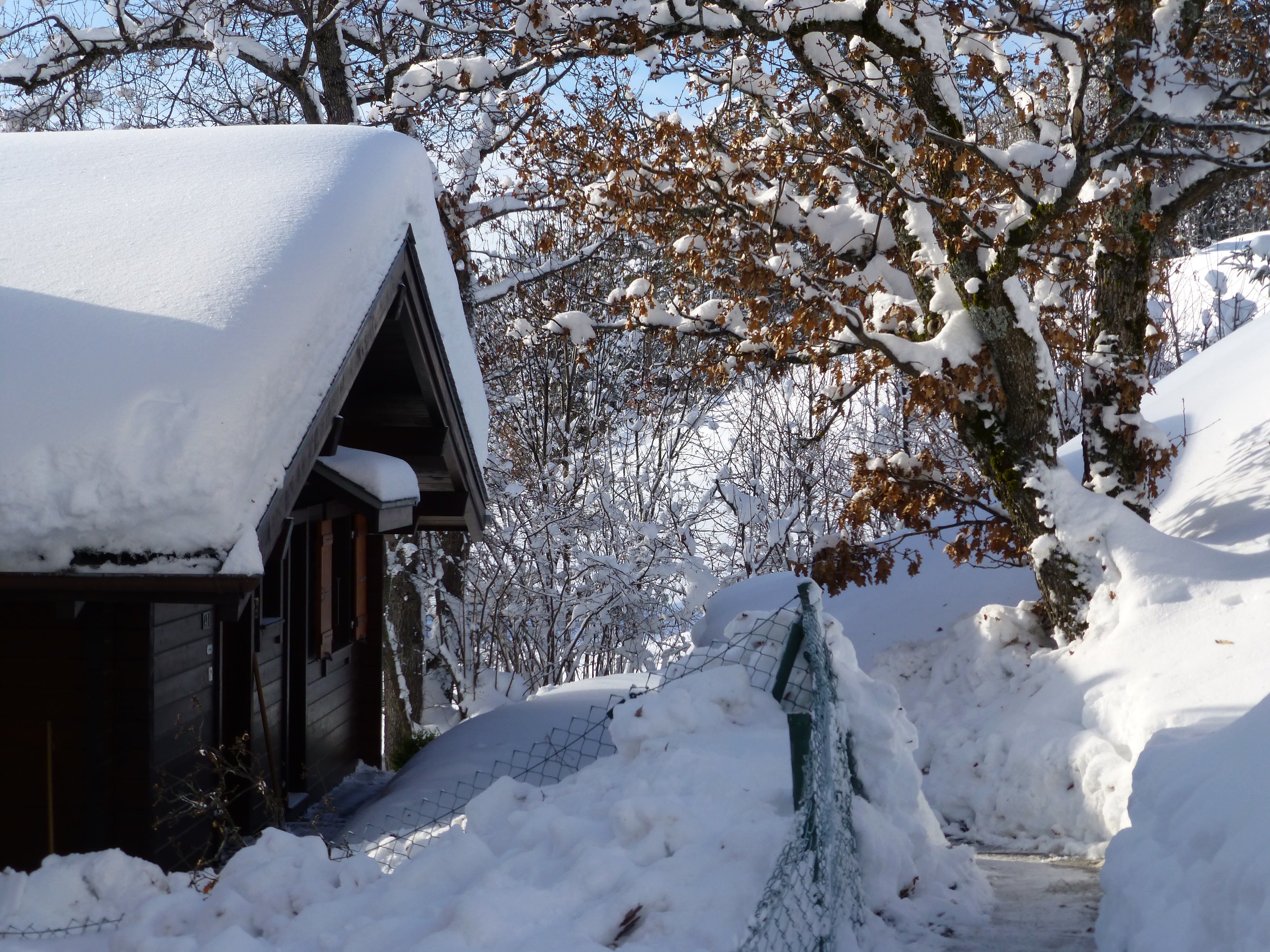 Klik voor grotere afbeelding